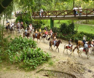 Parque Nacional del Café. Fuente: Uff.Travel